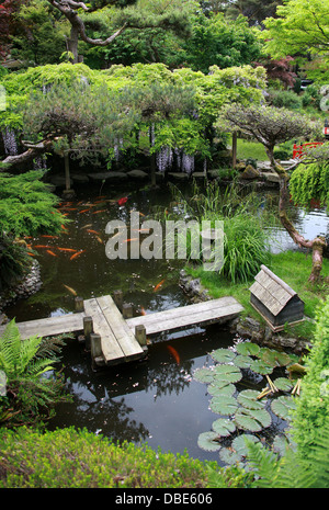 Étang du Poisson, Le Jardin Japonais, claveté, Hertfordshire. Banque D'Images