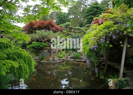 Étang du Poisson, Le Jardin Japonais, claveté, Hertfordshire. Banque D'Images