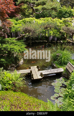 Étang du Poisson, Le Jardin Japonais, claveté, Hertfordshire. Banque D'Images