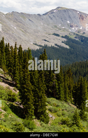 Vue depuis le haut de Cottonwood Pass, Colorado. Banque D'Images