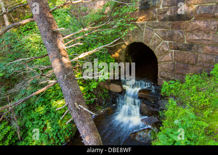 En cascade Park Loop Road - Parc National d'Acadia Banque D'Images