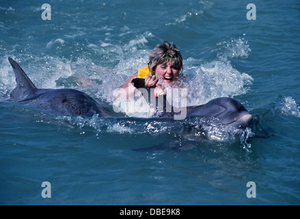 Femme nage avec les dauphins en Floride Keys. Banque D'Images