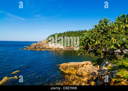 Paysage marin en Acadie, Park Loop Road, l'Acadia National Park, Maine Banque D'Images