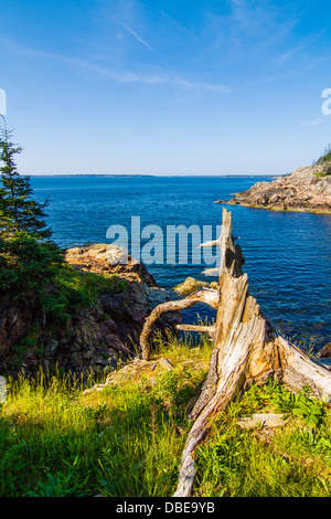 Paysage marin en Acadie, Park Loop Road, l'Acadia National Park, Maine Banque D'Images