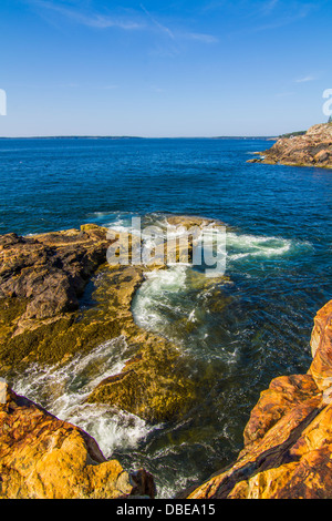 Paysage marin en Acadie, Park Loop Road, l'Acadia National Park, Maine Banque D'Images