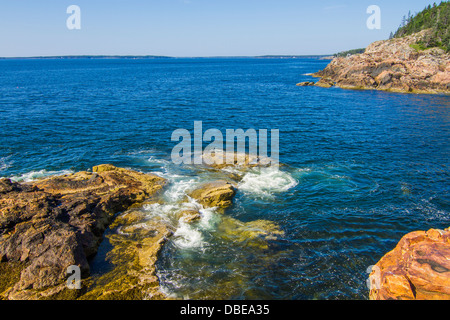 Paysage marin en Acadie, Park Loop Road, l'Acadia National Park, Maine Banque D'Images