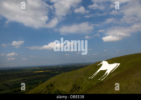 Le Westbury White Horse Wiltshire Angleterre Royaume-Uni Banque D'Images