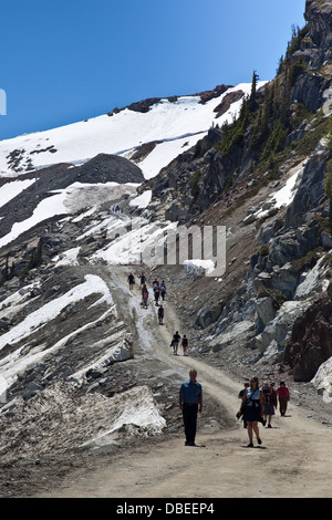 Route d'accès de l'été à vélo jusqu'au sommet du mont Whistler Banque D'Images