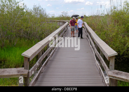 Miami Florida, Parc national des Everglades, main Park Road Royal Palm Visitors Center, Anhinga Trail randonneurs Asiatiques homme hommes hommes adultes, femme fe Banque D'Images