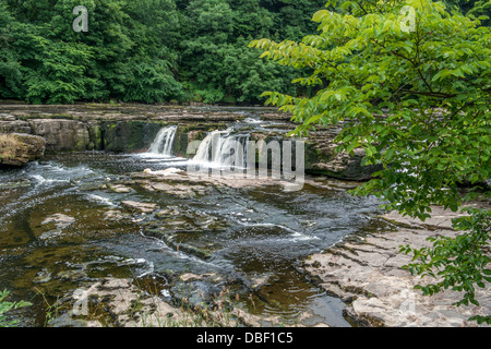 Aysgarth Cascades, circulant sur les roches, Banque D'Images