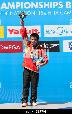 Barcelone, Espagne. 28 Juillet 2013 : men's 10m plate-forme à la 15e finale des Championnats du Monde FINA à Barcelone. Credit : matthi/Alamy Live News Banque D'Images