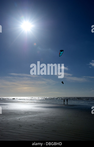 Cerf-volant sur la plage de West Wittering Banque D'Images