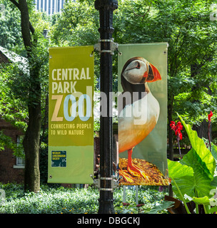 Signer de Central Park Zoo Banque D'Images