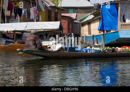 Petit bateau d'aviron de l'homme chargés de légumes dans le lac Dal à Srinagar. Ce sont des magasins qui fournissent tous les flottants sur le lac Banque D'Images