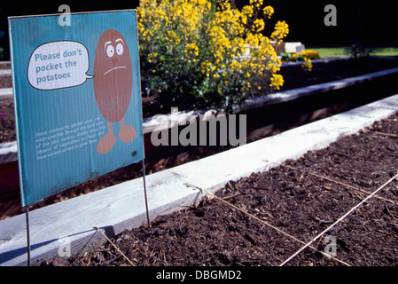 Jardin communautaire, jardins urbains - Veuillez ne pas choisir la pomme de signer publié dans Ville durable, allotissement Jardinage pied carré Banque D'Images