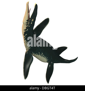 Liopleurodon était un grand reptile marin carnivore dans l'époque du Jurassique. Banque D'Images