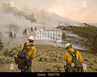 US Forest Service hotshot les pompiers travaillent pour contenir le feu dans la forêt nationale de Salmon-Challis 20 juillet 2013 près de Challis, ID. Banque D'Images
