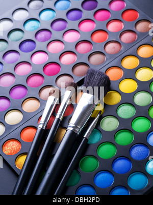 Le maquillage. Palette professionnelle ombres à paupières multicolore Banque D'Images