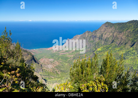 Kalalau Valley vu de la jante à Kauai, Hawaï. Banque D'Images