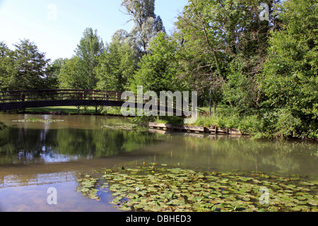 Une rivière avec ses nénuphars bridge entouré par un parc boisé Banque D'Images