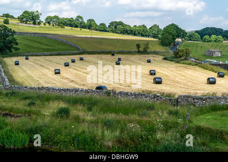 Les balles noires de l'ensilage dans le champ des agriculteurs Banque D'Images