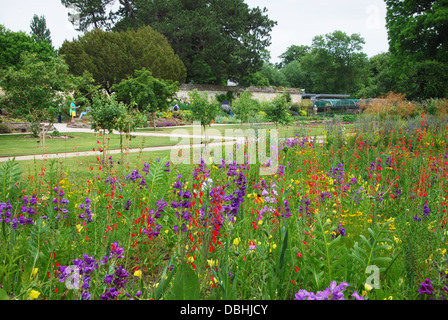 L'Université d'Oxford Botanic Garden près de Magdalen College Oxford UK Banque D'Images