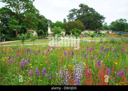 L'Université d'Oxford Botanic Garden près de Magdalen College Oxford UK Banque D'Images