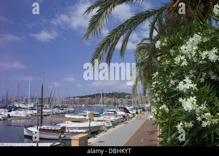 Le chemin au bord de l'eau pour la randonnée à pied ou à vélo, aux côtés des bateaux dans le port de plaisance de Palma de Majorque Banque D'Images