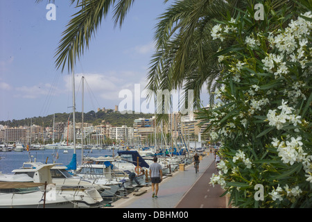 Le chemin au bord de l'eau pour la randonnée à pied ou à vélo, aux côtés des bateaux dans le port de plaisance de Palma de Majorque Banque D'Images