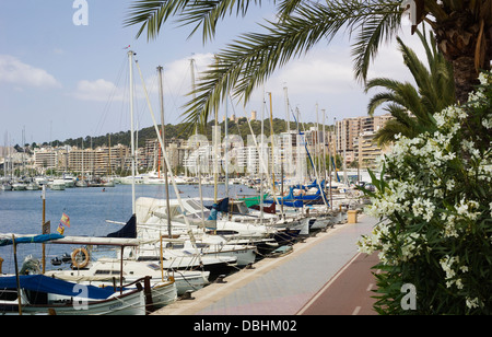 Le chemin au bord de l'eau pour la randonnée à pied ou à vélo, aux côtés des bateaux dans le port de plaisance de Palma de Majorque Banque D'Images