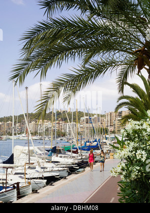 Le chemin au bord de l'eau pour la randonnée à pied ou à vélo, aux côtés des bateaux dans le port de plaisance de Palma de Majorque Banque D'Images