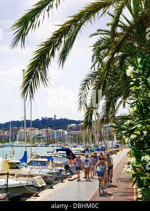 Le chemin au bord de l'eau pour la randonnée à pied ou à vélo, aux côtés des bateaux dans le port de plaisance de Palma de Majorque Banque D'Images