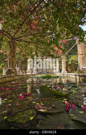 XTranquil extérieure dans les jardins de l'Banos arabes (bains Arabes) à Palma de Majorque, Espagne Banque D'Images