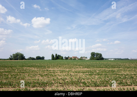 Une ferme entourée de champs arables sous un grand ciel bleu au centre de la France Banque D'Images