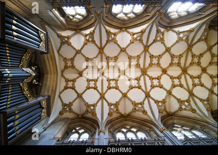 Ventilateur plafond voûté de choeur, Wells Cathedral, Somerset, Angleterre Banque D'Images