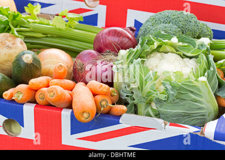 Légumes cultivés dans la région de Union Jack logo fort, England, UK Banque D'Images