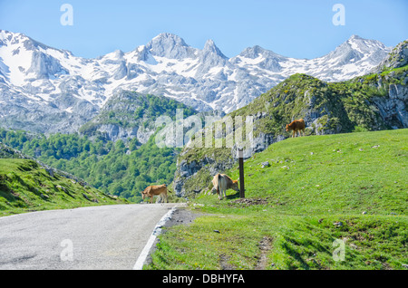 Parc National Picos de Europa dans les Asturies Banque D'Images