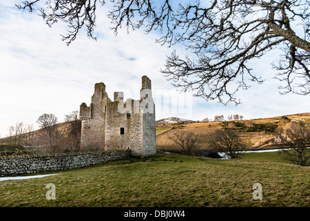 Glenbuchat Château dans l'Aberdeenshire, en Écosse. Banque D'Images