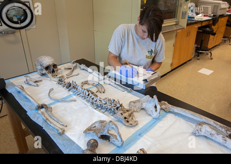 Laboratoire de l'Université de Baylor travaille à identifier les restes de migrants inconnus qui sont morts à franchir la frontière du Mexique Banque D'Images