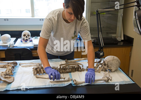 Laboratoire de l'Université de Baylor travaille à identifier les restes de migrants inconnus qui sont morts à franchir la frontière du Mexique Banque D'Images