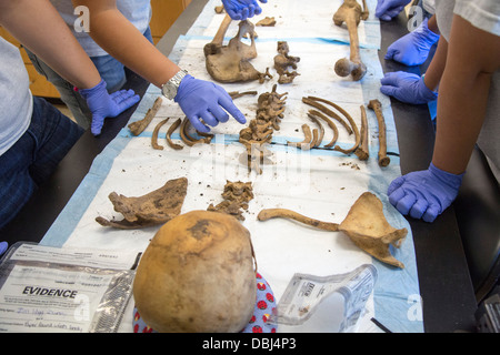 Laboratoire de l'Université de Baylor travaille à identifier les restes de migrants inconnus qui sont morts à franchir la frontière du Mexique Banque D'Images