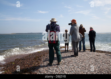 Observation des dauphins avec vue sur la mer à la plage de Chanonry point, les touristes observant les dauphins à bottlenose Moray Firth, Cromarty, Black Isle, Écosse, Royaume-Uni Banque D'Images