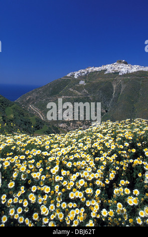 Village de montagne avec des marguerites en premier plan Banque D'Images