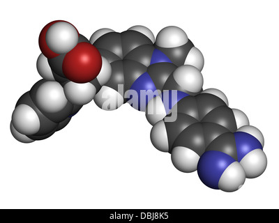 Le dabigatran anticoagulant (inhibiteur direct de la thrombine), la structure chimique. Les atomes sont représentés comme des sphères. Banque D'Images