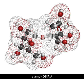 Le lactulose constipation chronique Médicament (laxatif), la structure chimique. Les atomes sont représentés comme des sphères de couleur classiques. Banque D'Images