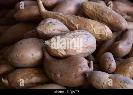 Pile des ignames ou des patates douces au farmers market Banque D'Images