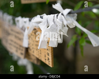 La prière de l'Ema et comprimés d'omikuji papers fortune. Tourinji Temple, Ishigaki Island, Okinawa, Japon Banque D'Images