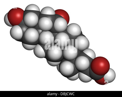 L'Ursodiol (ursodeoxycholic acid, UDCA) médicament Traitement des calculs biliaires, la structure chimique. Banque D'Images