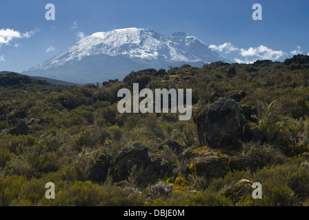 Le mont Kilimandjaro, vue du pic de Shira Plateau Kibo Banque D'Images