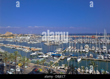 Marina moorings, Palma de Mallorca Banque D'Images